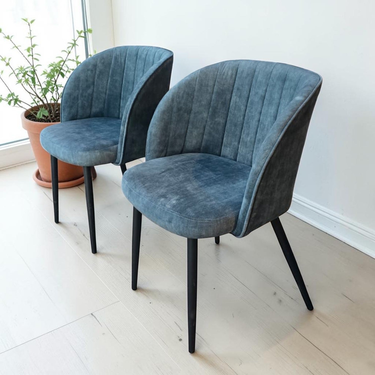 Blue Velvet Upholstered Dining Chairs ($75 Each)
