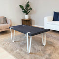 Coffee Table (Dimensions: 40x100x46)