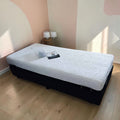 Electronic Liftup Bed Revital Life