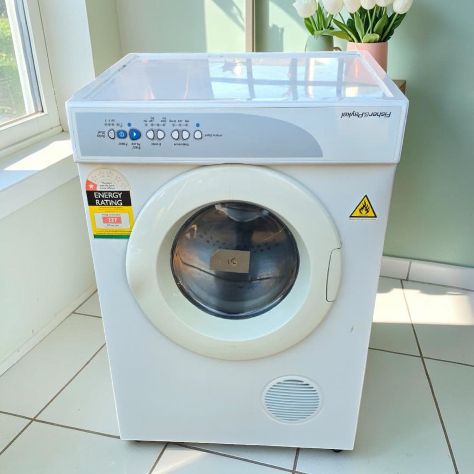 Fisher & Paykel Front-Loading Clothes Dryer (Dimensions: 78x56x54)