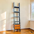 Library Ladder Bookcase