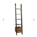 Library Ladder Bookcase 