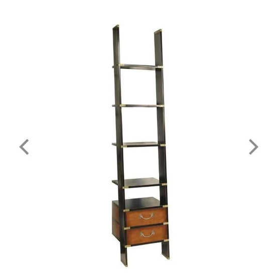 Library Ladder Bookcase 