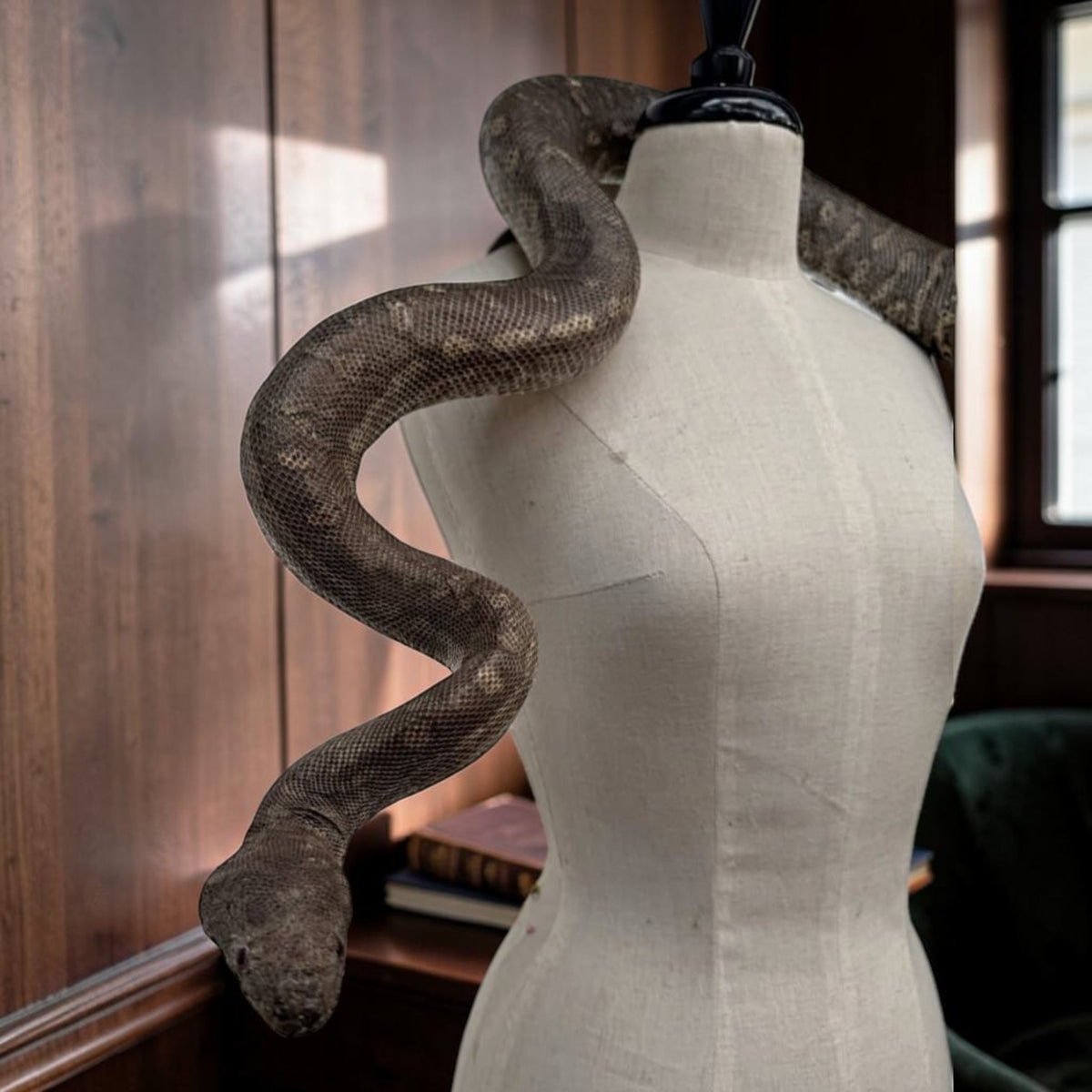 Large Realistic Taxidermy Snake Python Sculpture