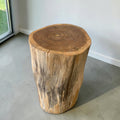 Rustic Solid Wood Decorative Stump Accent Table/Stool